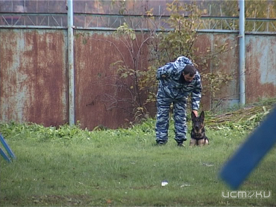 Хвостатые сотрудники полиции из Орла - одни из лучших в стране 