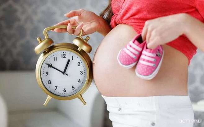 57% орловчанок сами хотят решать, нужен ли им декрет в первом триместре беременности −опрос 