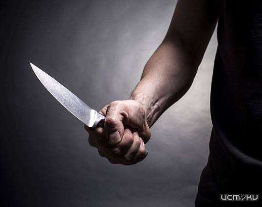 На Орловщине мужчина зарезал собственную мать и свел счеты с жизнью На Орловщине мужчина зарезал собственную мать и свел счеты с жизнью