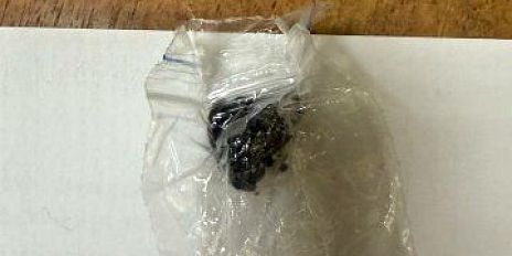 Транспортными полицейскими Орла на перегоне «Лужки-Орловские-Саханская» задержана девушка с наркотическим средством