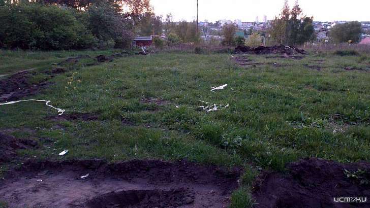 В орловских Лужках вандалы расправились с аллеей, посаженной к 9 Мая