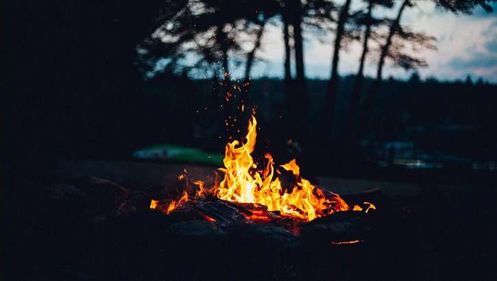 На Орловщине мужчина в селе Долгое нашел марихуану в лесополосе