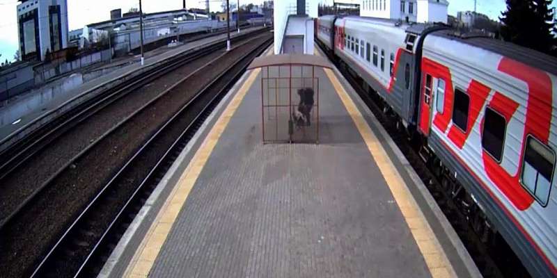 Видео: орловский охранник оставил без сумки пассажира скорого поезда 