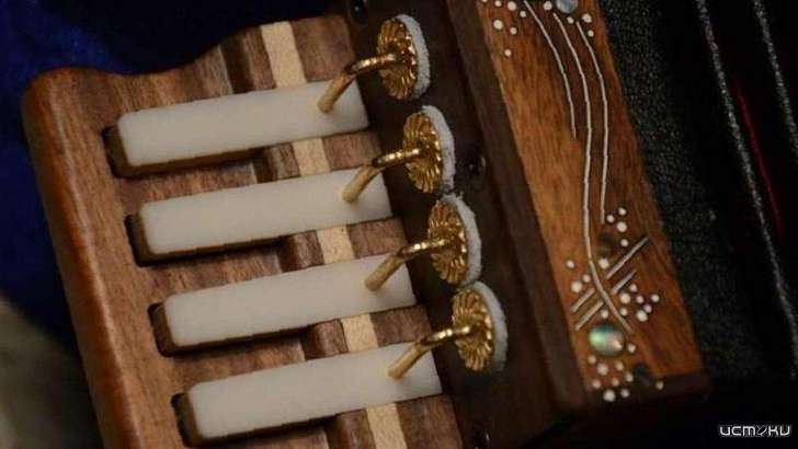 Орловчанам покажут гармонику-черепашку и английскую концертину XIX века