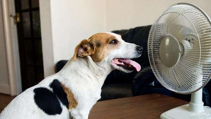 В Орле четверг будет самым жарким днем на этой неделе