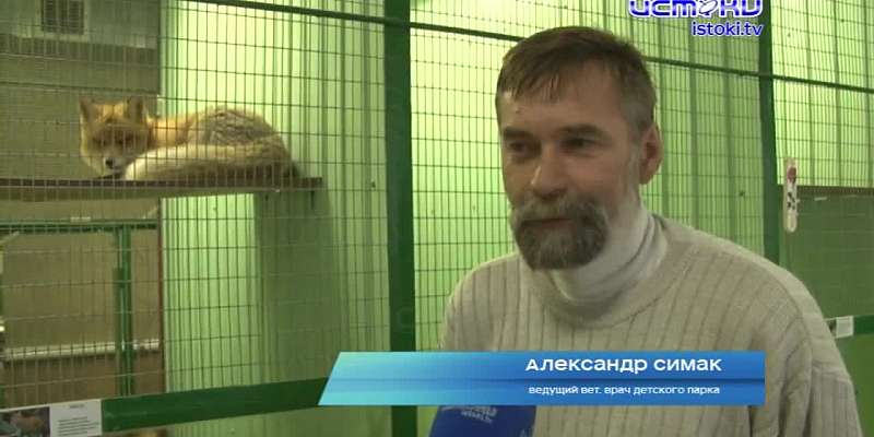 Обитатели зооуголка в детском парке Орла ждут его открытия и общения с маленькими посетителями