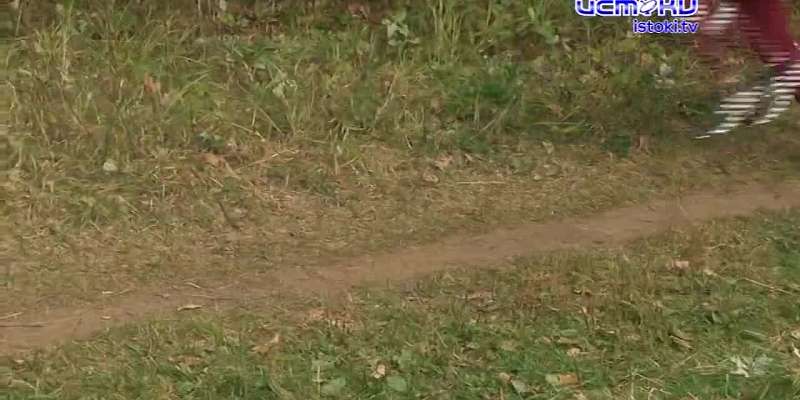 Сегодня завершилось первенство по легкоатлетическому кроссу.