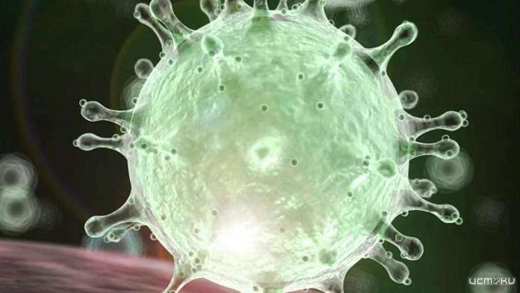 За сутки на Орловщине коронавирусом заразились ещё 86 человек