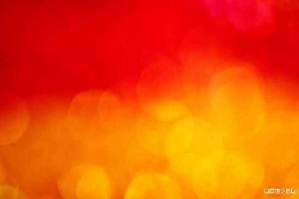 Орловчан ждёт самое жаркое лето за всю историю метеонаблюдений - СМИ