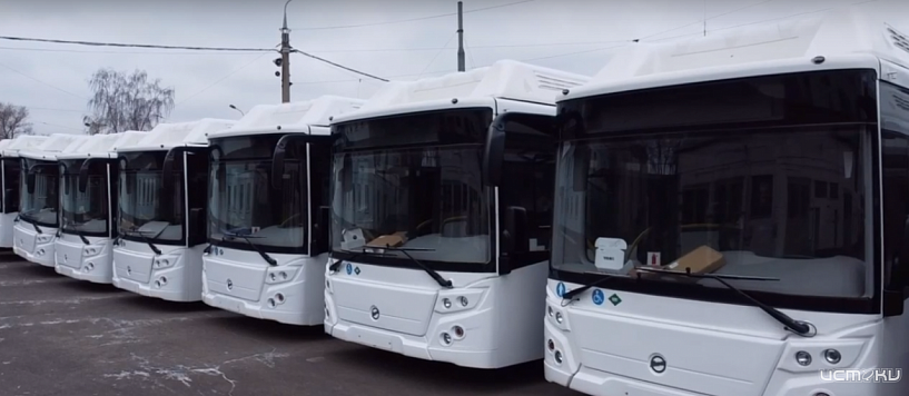 Стало известно, когда на маршруты в Орле выйдут новые автобусы