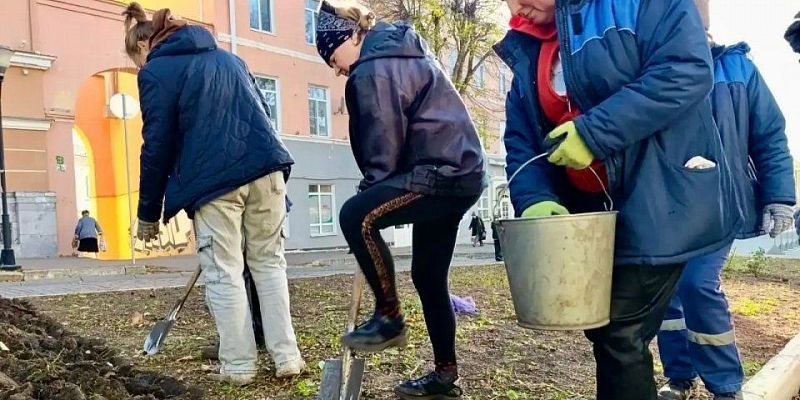 Орёл готовят к весеннему цветению: «Спецавтобаза» высаживает тюльпаны и готовит розы к зиме