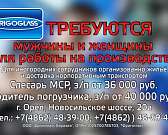В компанию «Фригогласс Евразия» в Орле требуются сотрудники
