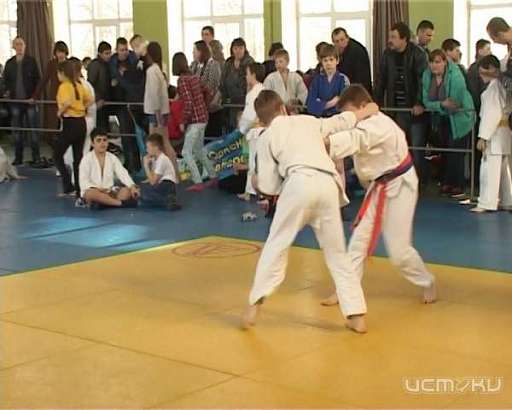 Во Дворце спорта «Юность России» прошёл Открытый фестиваль единоборств 