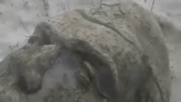 Вранье: губернатор Андрей Клычков о сносе нашумевшего мемориала на Орловщине