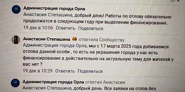 В Орле нет денег на отлов бродячих собак