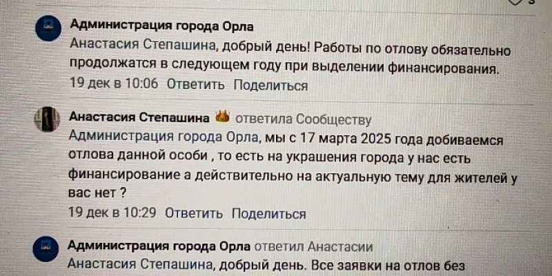 В Орле нет денег на отлов бродячих собак