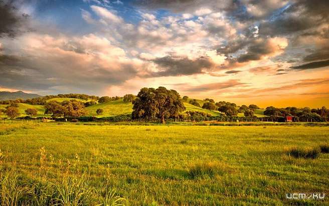 Орловчан приглашают познакомиться с природой нашего края