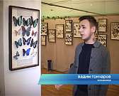 Экзотика мира в Краеведческом музее. Выставка уникальных тропических бабочек