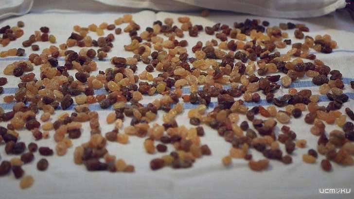 Народным корреспондентом недели стал орловчанин, приславший «Приключения изюма»