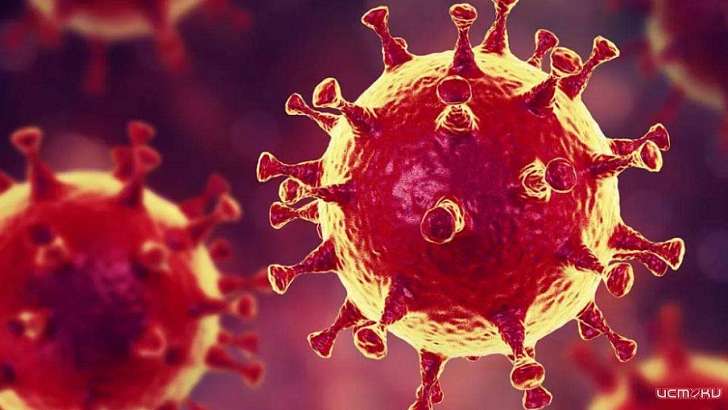 92-летняя орловчанка с диагнозом COVID-19 умерла в больнице им. Семашко