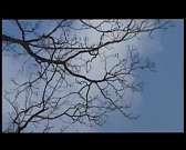 Орёл и Санкт-Петербург разделяет тысяча километров, но эти города связывает общая литературная нить