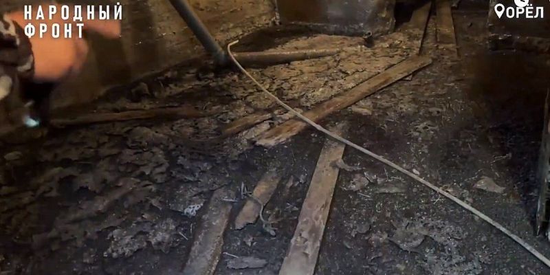 аварийный дом народный фронт "Дом ужасов" на улице Пушкина: 50 жителей 8 лет живут в аварийных условиях