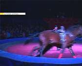 Волшебное шоу от цирка- шапито "Империалъ"