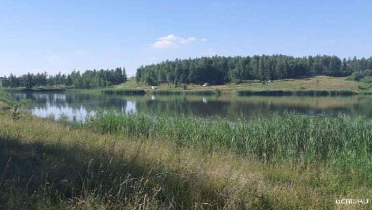 13-летний подросток погиб во время купания в пруду под Орлом