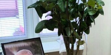 Прощание с Сергеем Ступиным состоится завтра