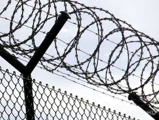 В области под амнистию попали 898 человек