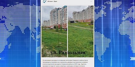 Жители Северного района подсчитали, сколько деревьев прижилось и опечалились. Экспресс - новости.