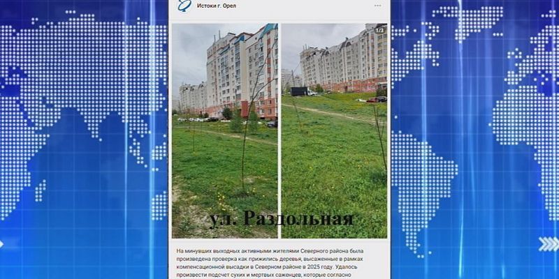 Жители Северного района подсчитали, сколько деревьев прижилось и опечалились. Экспресс - новости.