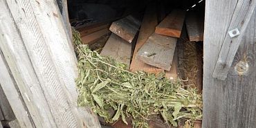 У жителя Орловской области нашли несколько килограммов запрещенного вещества