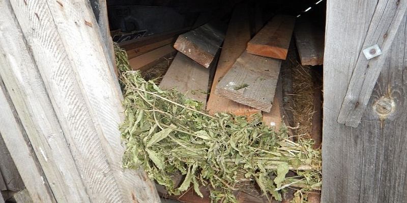 У жителя Орловской области нашли несколько килограммов запрещенного вещества