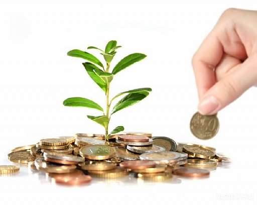 Орелстат рассказал о самых рентабельных и убыточных сферах бизнеса