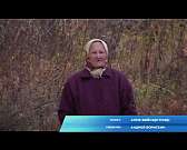 Звонки по России и даже в другую страну стали выгоднее. Новые опции в домашней телефонии