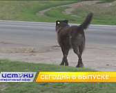 У жителей д. Никуличи скопилось много проблем, ФК «Орёл» разгромил брянских футболистов, а в Орле прозвучали звуки фанфар Победы. Об этом и не только ...