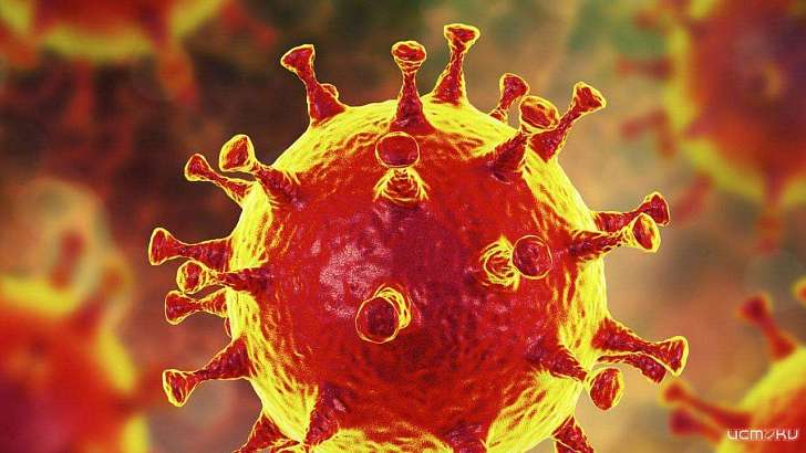 Коронавирус на Орловщину привезли из северной столицы