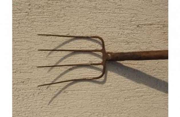 Жителя Орла приговорили за угрозу убийством соседу и убийство дорогостоящей собаки