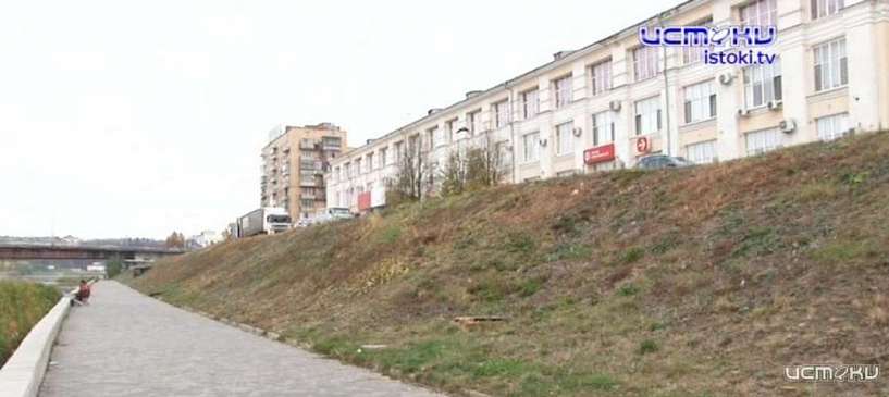 Орловчане жалуются на массовый выпил деревьев на набережной Дубровинского