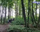 Спасатели делятся рецептами запеченой скумбрии, последние часы прокуровского леса, милосердию нашлось место на орловской дороге, Об этом и не только с...