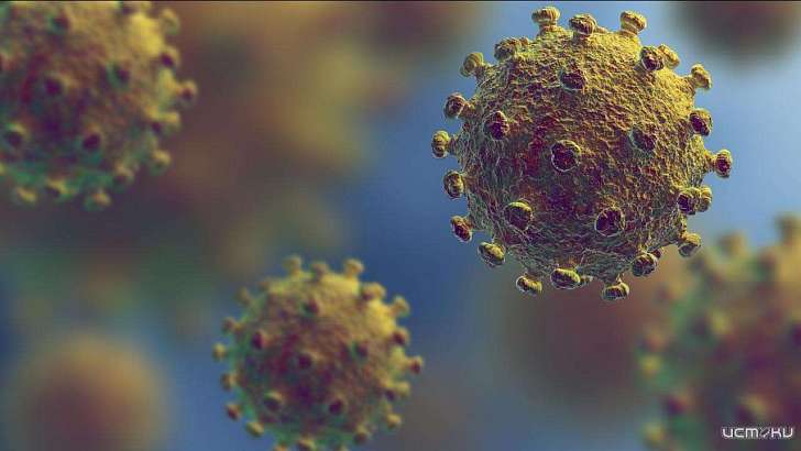 Еще один пациент в Орловской области не смог победить COVID-19