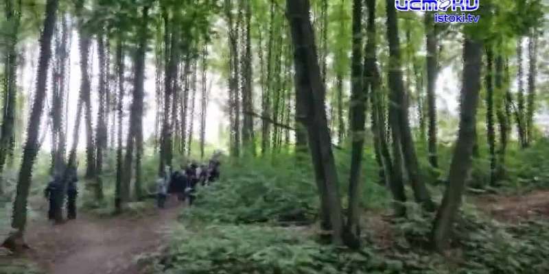 Спасатели делятся рецептами запеченой скумбрии, последние часы прокуровского леса, милосердию нашлось место на орловской дороге, Об этом и не только с...
