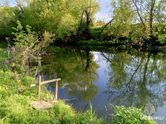 В Орловской области мать спасла утопающего сына 