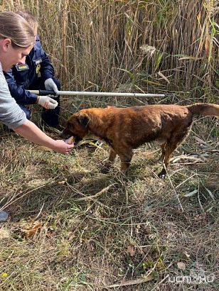На пожарах в Орле и Тросне спасли троих человек 