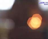 Деревьям дали их имена: сегодня в Орле вспоминали юных жертв ДТП