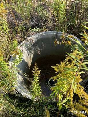 В п. Новообразцово из-за халатного отношения организации «Ресурс» в открытый колодец провалилась собака и умерла