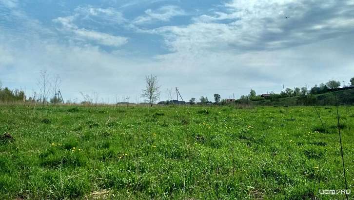 Суббота в Орле будет тёплой