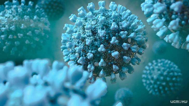 +3 летальных случая: в Орловской области ежедневно растет смертность от COVID +3 летальных случая: в Орловской области ежедневно растет смертность от COVID