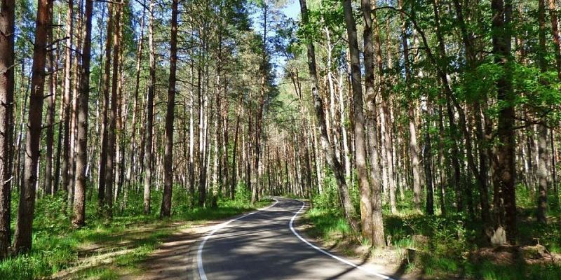 В Орловской области отремонтировали ряд дорог к туристическим объектам